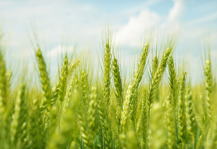 Wir sind auf die Forschung und Herstellung maßgeschneiderter Produktionslinien spezialisiert, die den tatsächlichen Bedürfnissen der Kunden entsprechen